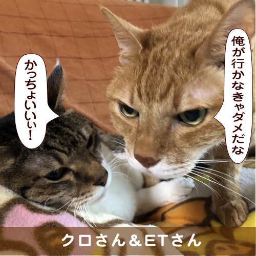 20190122_touko.jpg