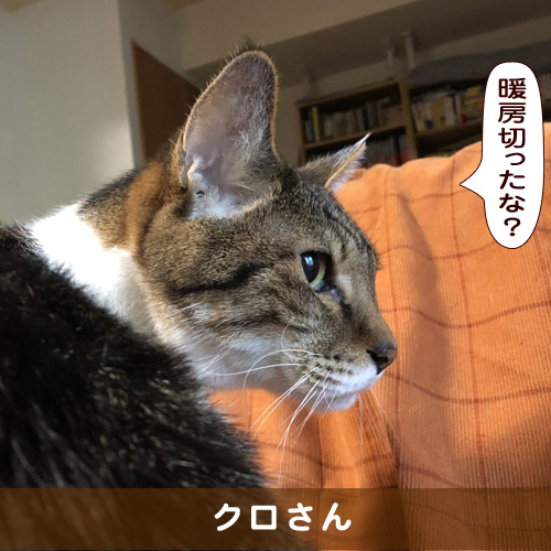 20190124_touko.jpg