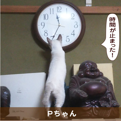 20190125_touko.jpg