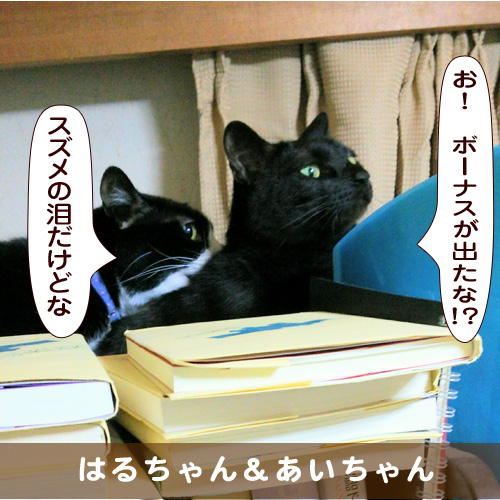 20190128_touko.jpg