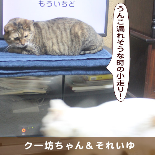 20190130_touko.jpg