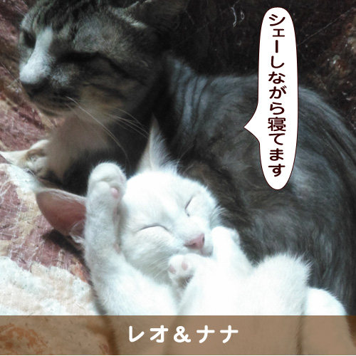 20190131_touko.jpg