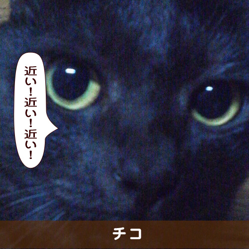 20190205_touko.jpg