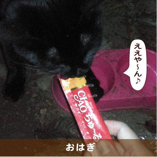 20190208_touko.jpg