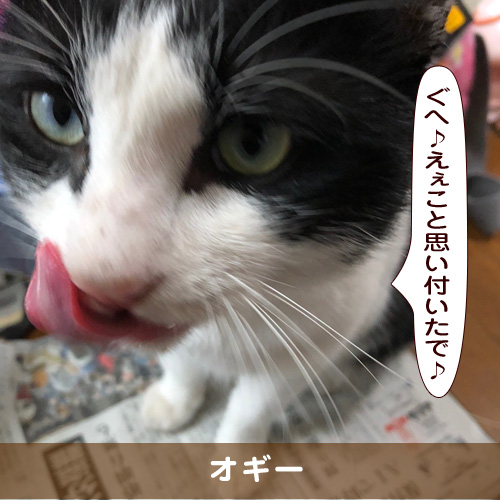 20190209_touko.jpg
