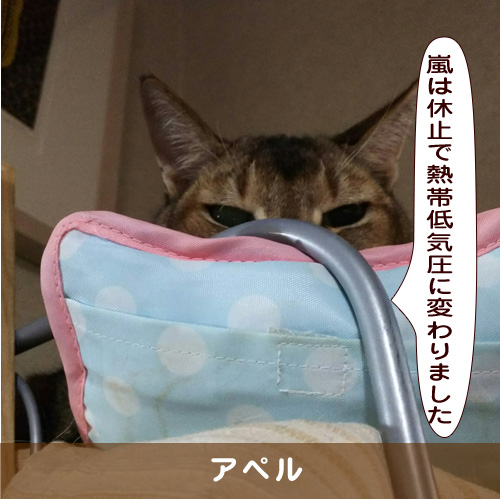 20190210_touko.jpg