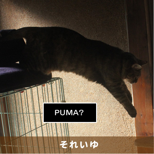 20190212_touko.jpg
