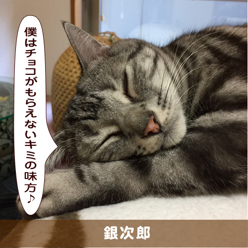 20190214_touko.jpg