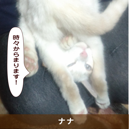 20190215_touko.jpg