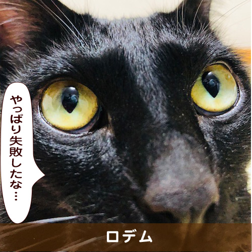 20190217_touko.jpg