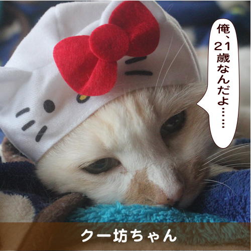 20190219_touko.jpg