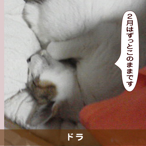 20190220_touko.jpg