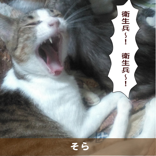 20190221_touko.jpg