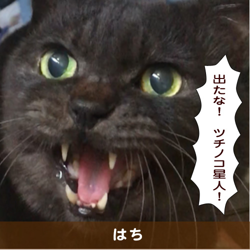 20190222_touko.jpg
