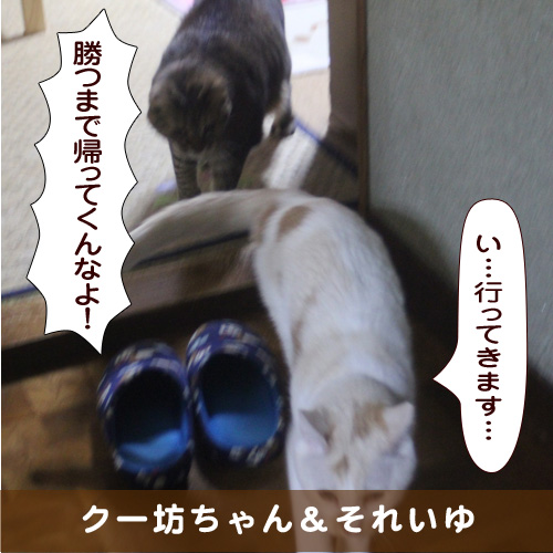 20190223_touko.jpg
