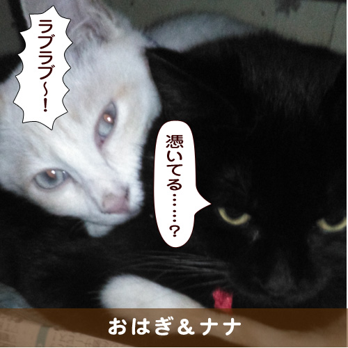 20190224_touko.jpg