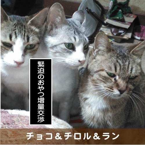 20190225_touko.jpg