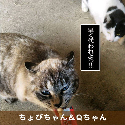 20190227_touko.jpg