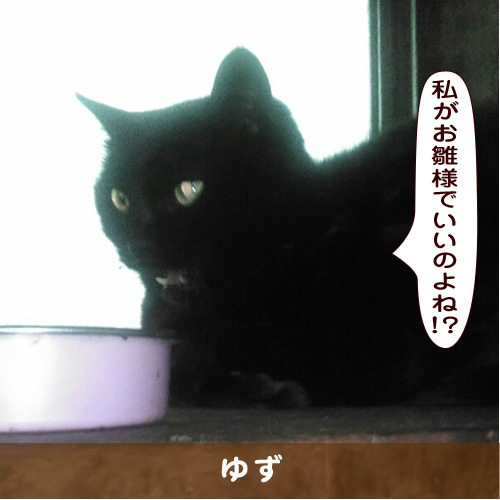 20190303_touko.jpg