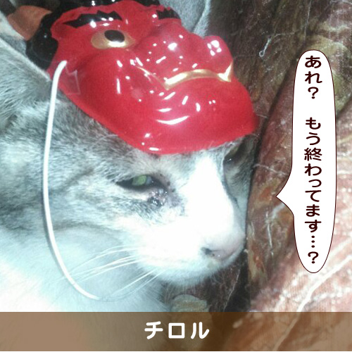 20190304_touko.jpg