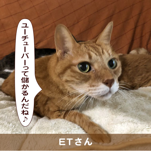 20190306_touko.jpg