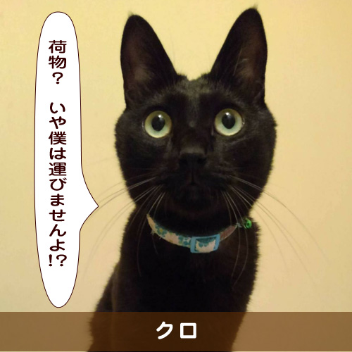 20190307_touko.jpg