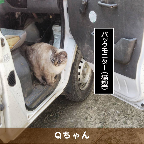 20190309_touko.jpg