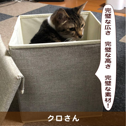 20190310_touko.jpg