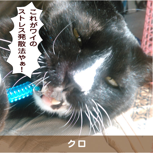 20190311_touko.jpg