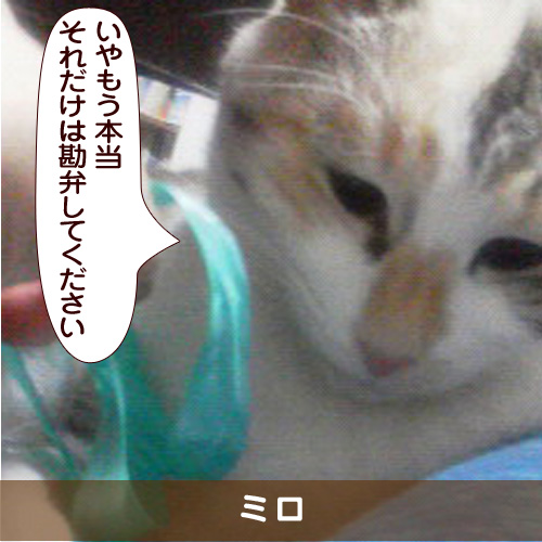20190313_touko.jpg
