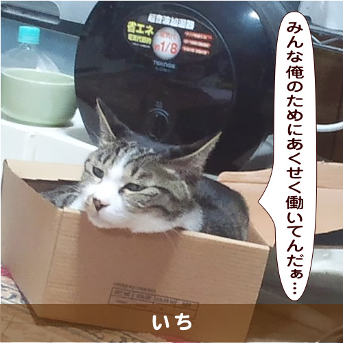 20190314_touko.jpg
