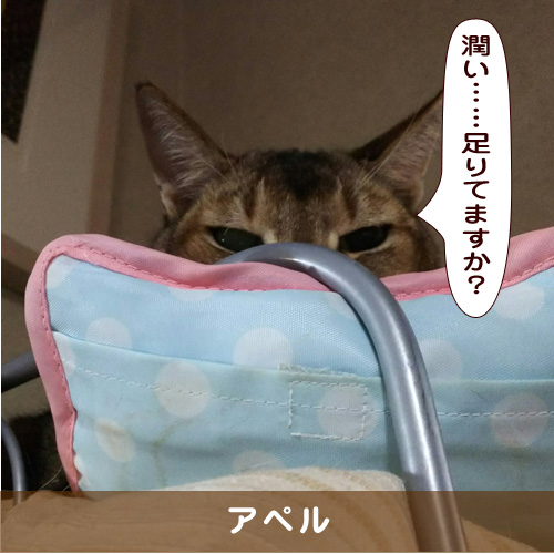 20190315_touko.jpg