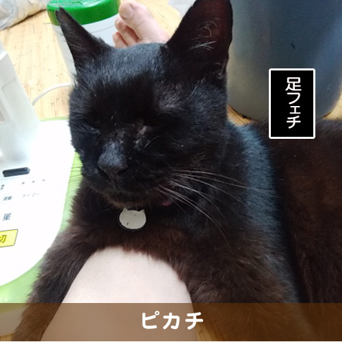 20190316_touko.jpg