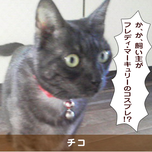 20190317_touko.jpg