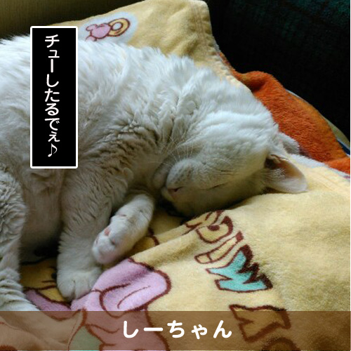 20190318_touko.jpg
