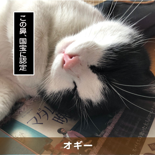 20190319_touko.jpg