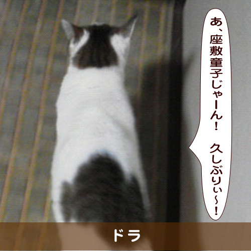 20190320_touko.jpg