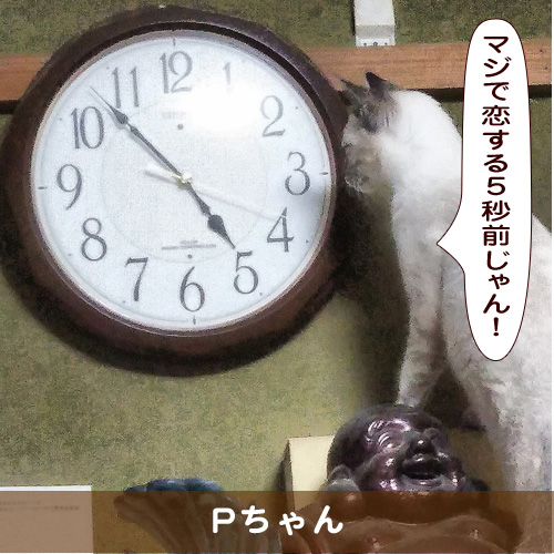 20190321_touko.jpg