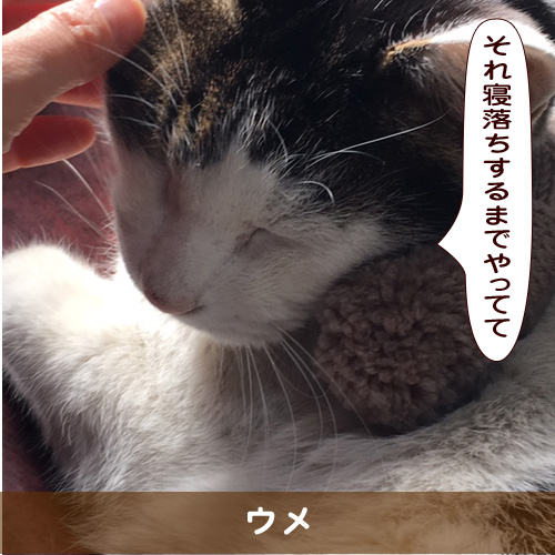 20190322_touko.jpg