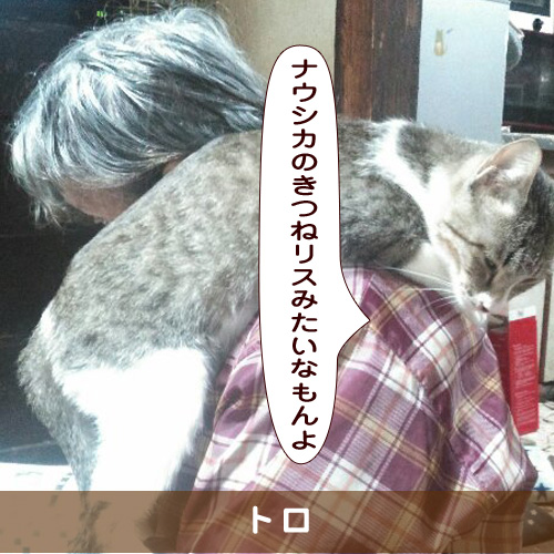 20190323_touko.jpg