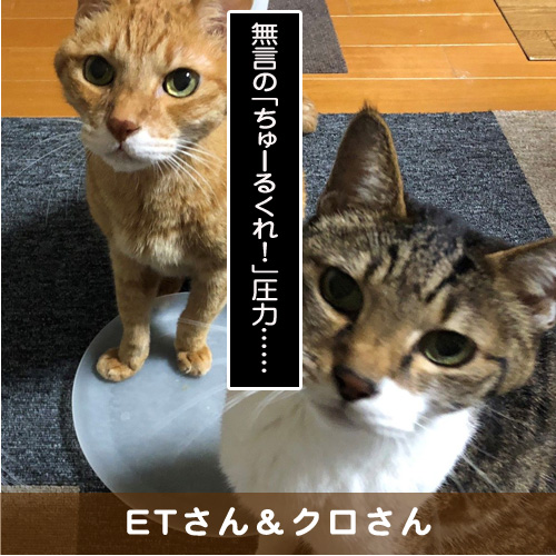 20190324_touko.jpg