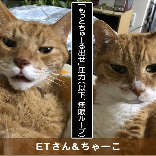 20190326_touko.jpg