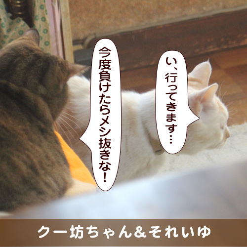 20190327_touko.jpg