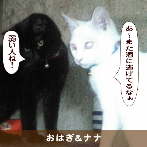 20190328_touko.jpg