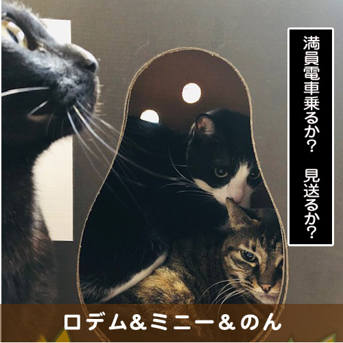 20190330_touko.jpg