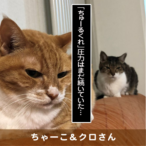 20190331_touko.jpg