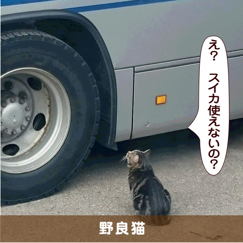 20190402_touko.jpg