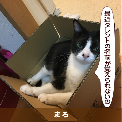 20190404_touko.jpg