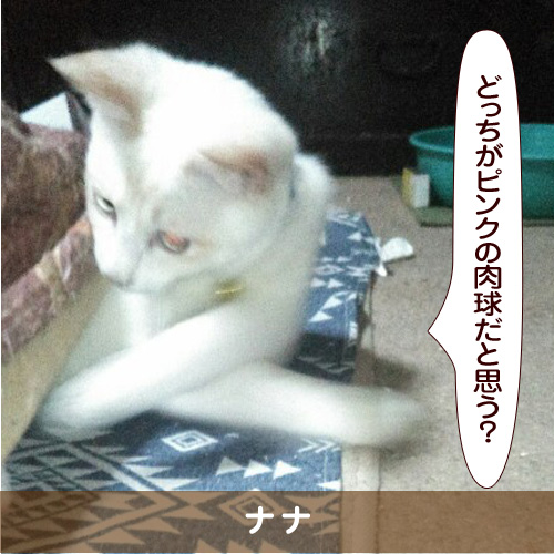 20190405_touko.jpg