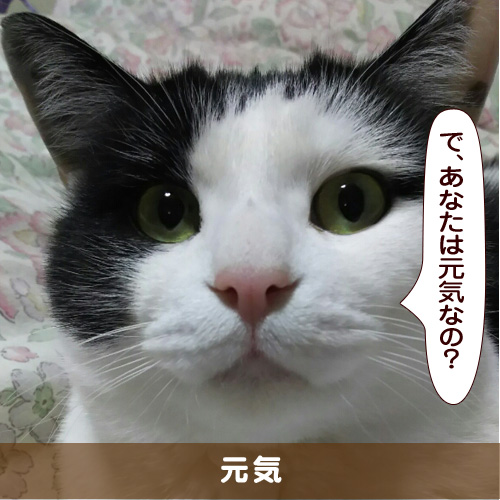 20190406_touko.jpg